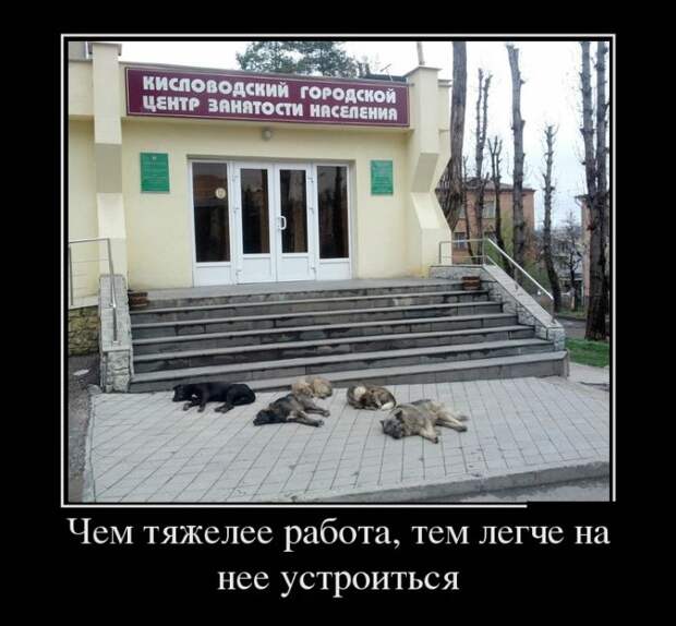 Веселые демотиваторы для утреннего веселья (10 фото)
