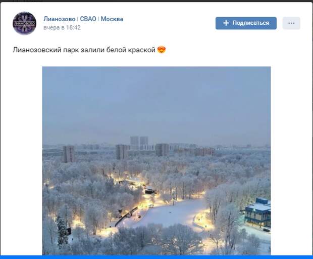 Лианозовский парк «залили» белой краской