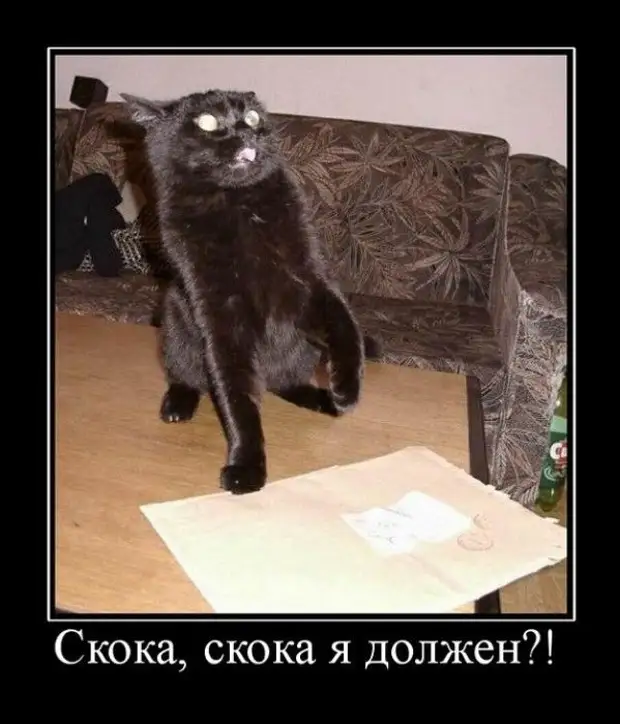 Картинка в ахуе