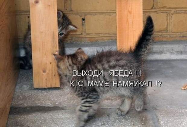 Мысли вслух :)