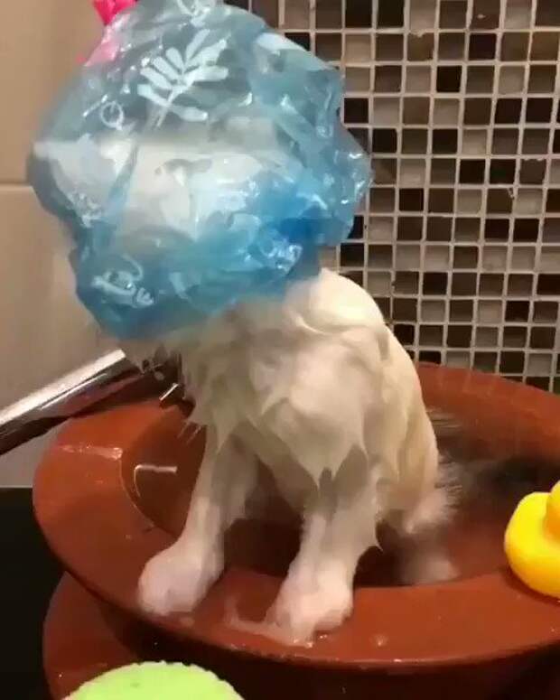 Встроенное видео