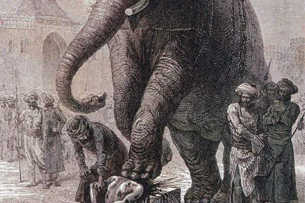 5 видов казней с использованием животных. Топтание слонами, яма со змеями