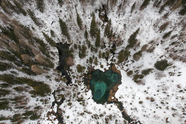 Российский депутат объяснил важность временного «окна» в поисках исчезнувших Усольцевых