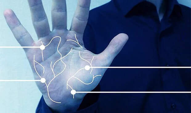 В РФ рассматривают возможность использования отпечатков ладоней для идентификации