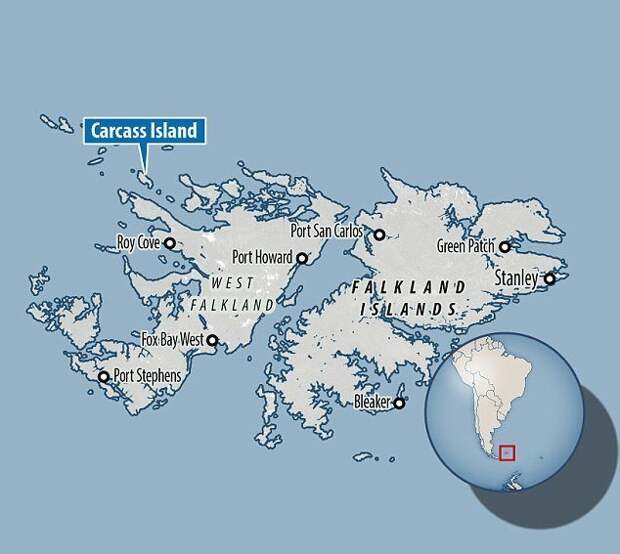 Человек, который купил остров Каркасс, Роберт МакГилл, Фолклендские острова, одиночество, пастроальная жизнь, побег от мира, удивительная история, хозяин острова