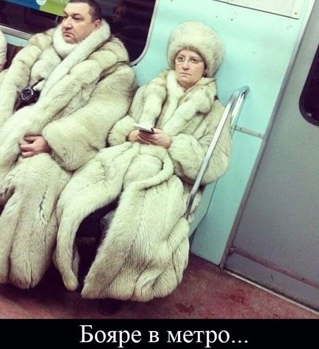 Весёлые картинки