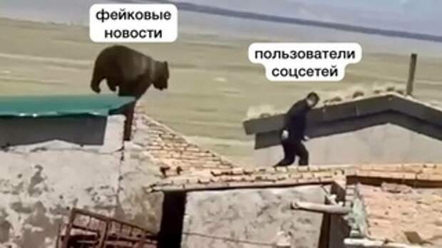 Фото: unsplash.com