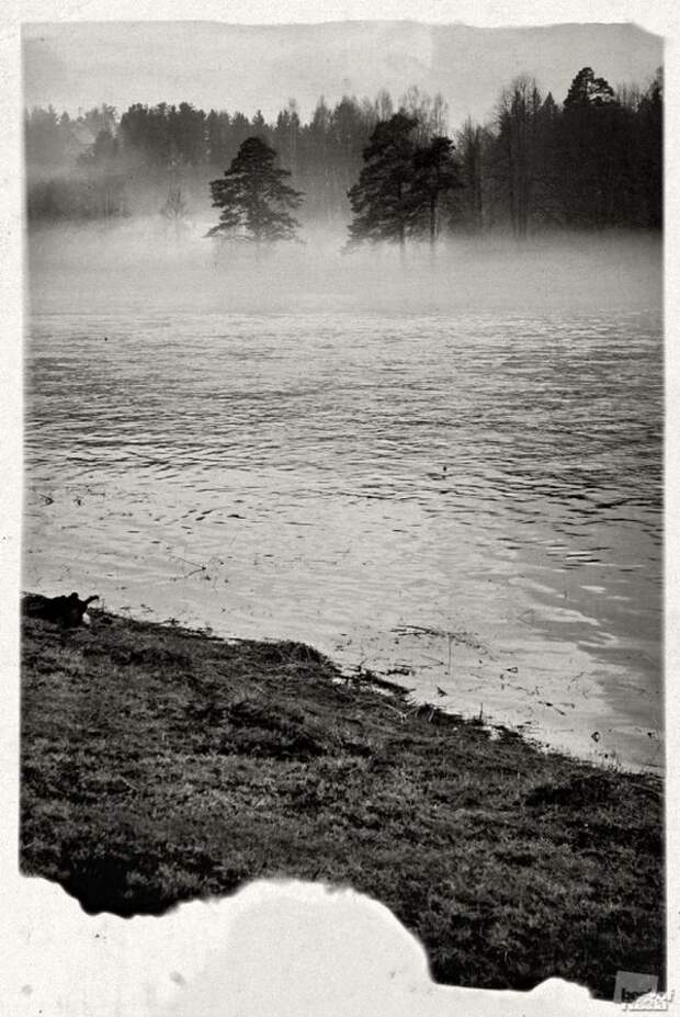 Лучшие фотографии России 2011. Номинация Природа