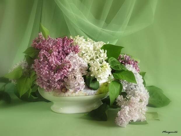 0_7654d_b3d421a9_XXL (600x450, 56Kb)