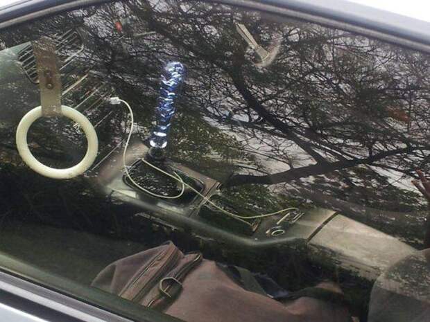 Прикольные картинки