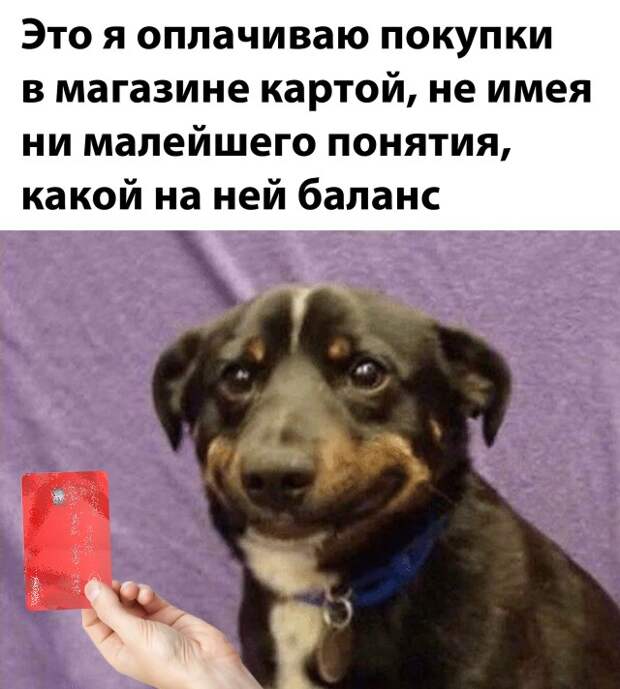 Оплата картой в магазине