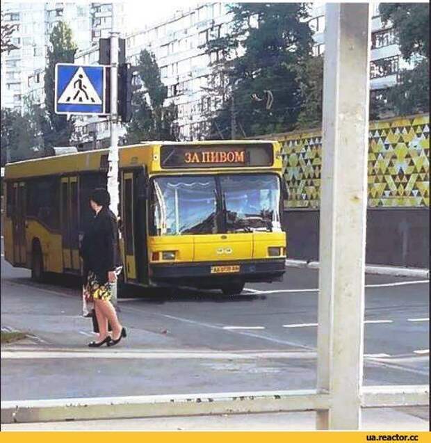 Маршрут, которого все ждали Маршрут, которого все ждали