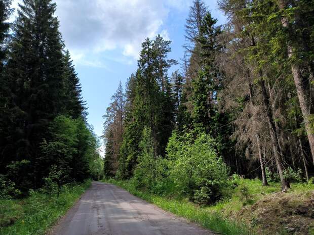 Тюмень наполняется новыми зелёными территориями