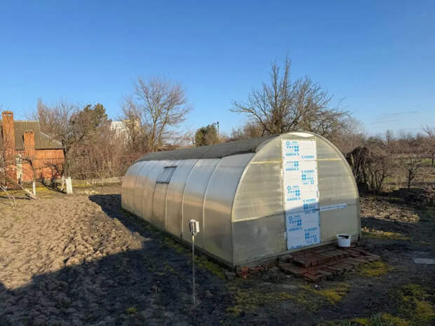 Забудьте про навоз: 3 ложки аптечного порошка дают тонну зелени через 3 дня