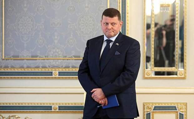 На фото: бывший главком ВСУ Валерий Залужный