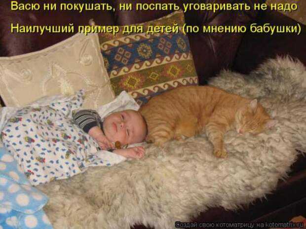 Котоматрицы (картинки с надписями)