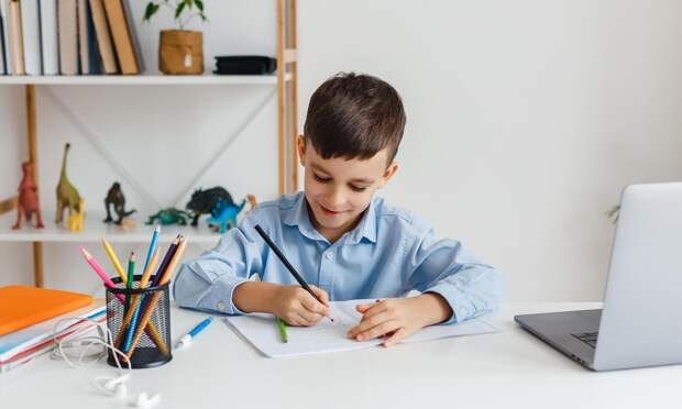 Как записать ребенка в первый класс: подробная инструкция