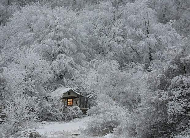 Лучшие зимние фотографии (35 фото) Лучшие зимние фотографии (35 фото)
