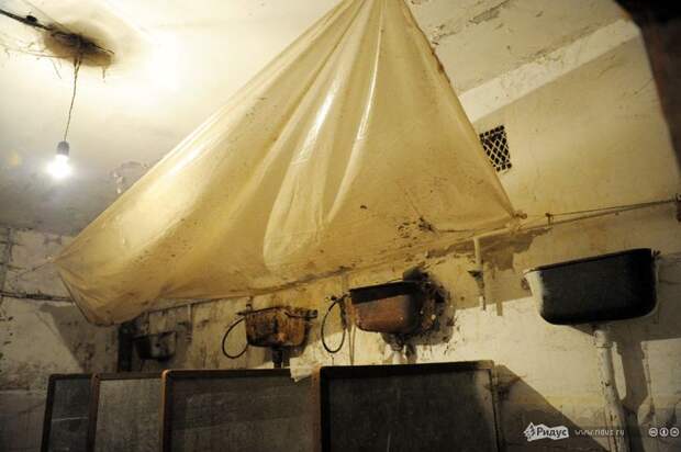 Жители военного городка (10 фото)