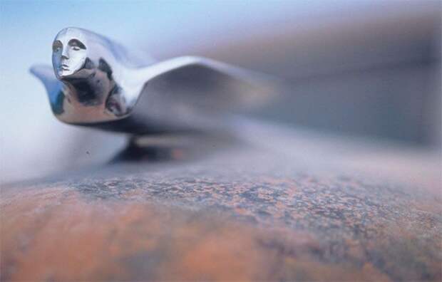 Автомобильные эмблемы на капотах (33 фото)