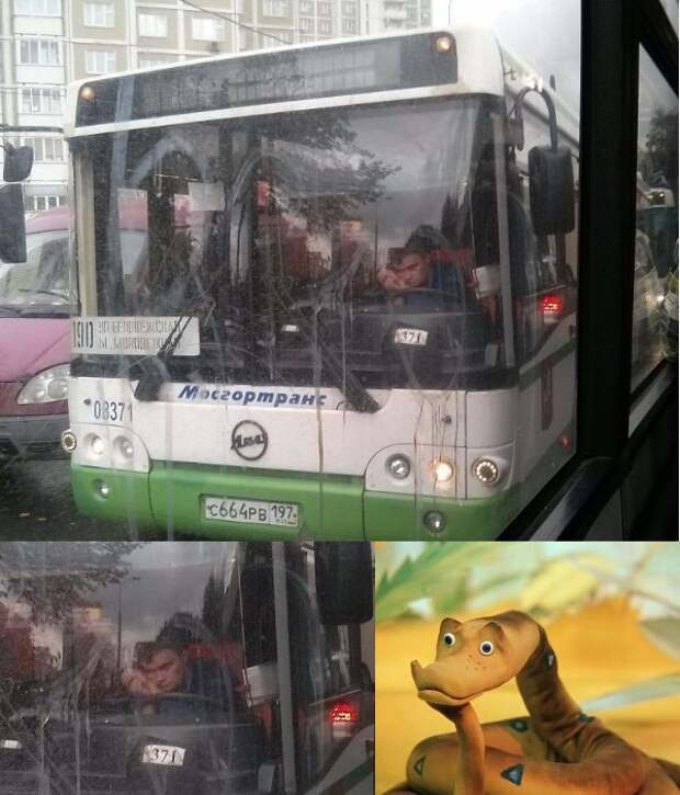 Прикольные картинки Прикольные картинки