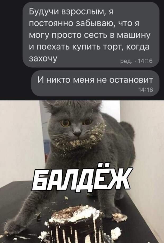 Смешные картинки 9 сентября 2021 года