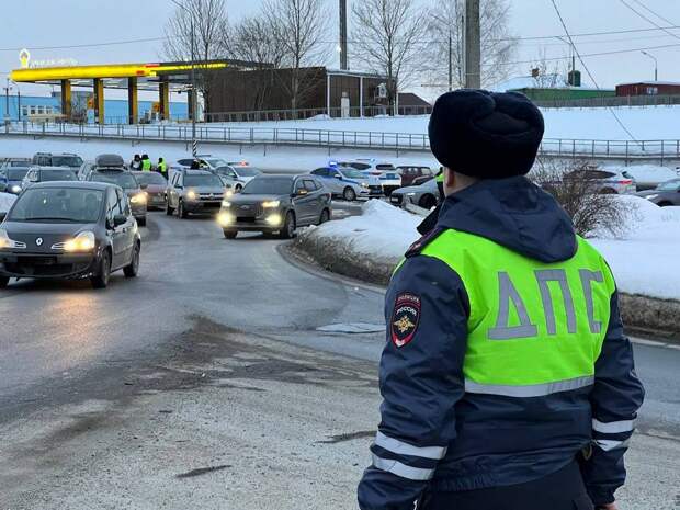 В Смоленске проходят «сплошные проверки»
