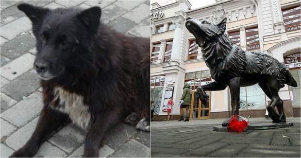 В Челябинске появился памятник псу, два года ожидавшему погибшего хозяина ynews, памятник, собака, хатико, челябинск