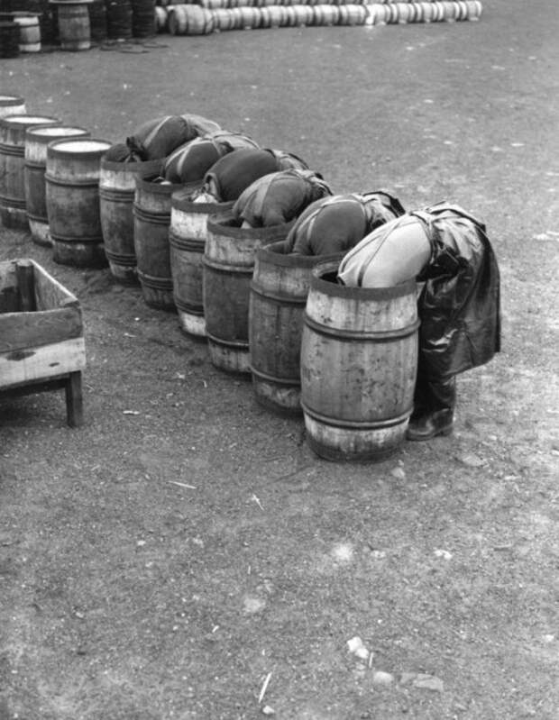 Женщины укладывают соль на дно бочки перед засолкой сельди, 1937, Норвегия СССР, история, факты, фото.