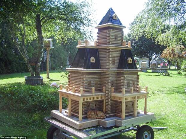 Плотник на пенсии строит потрясающие виллы для птиц дома для птиц, канада, мастерство, плотник, работающий пенсионер, своими руками, скворечники, удивительно