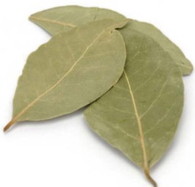 лавр2 (267x256, 10Kb)