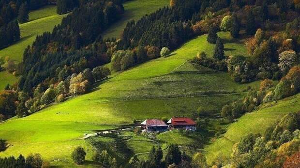 Шварцвальд, современное фото.