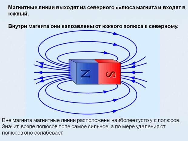 Пьяный лес