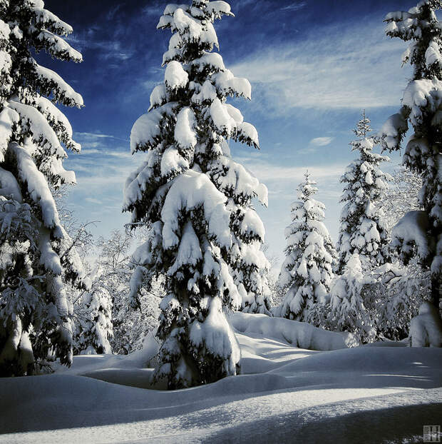 Великолепные снежные пейзажи Gorgeous Winter Landscapes 12 Великолепные снежные пейзажи