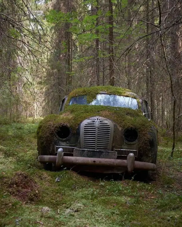 Позитив и юмор в смешных фотографиях