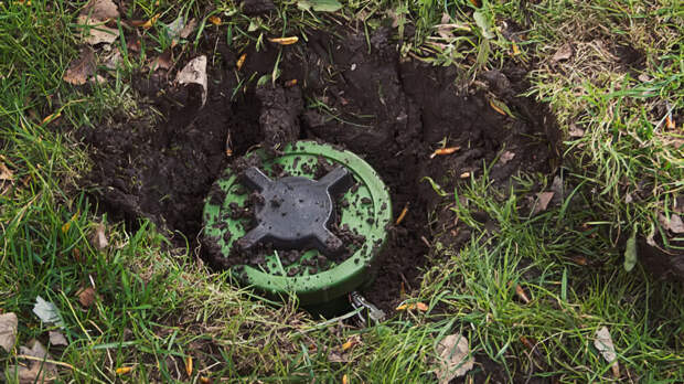 Сейм Литвы денонсировал конвенцию, запрещающую противопехотные мины.