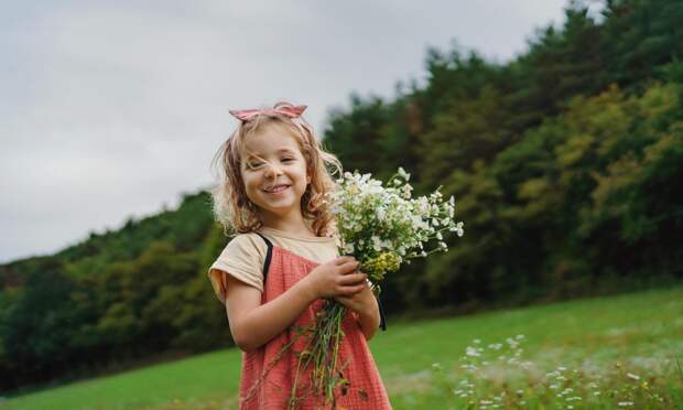 Какие цветы посадить на даче, если у вас много солнца или много тени