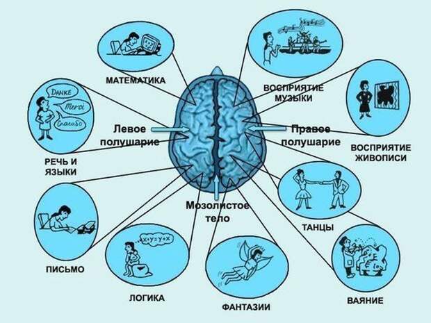 Прикольные картинки