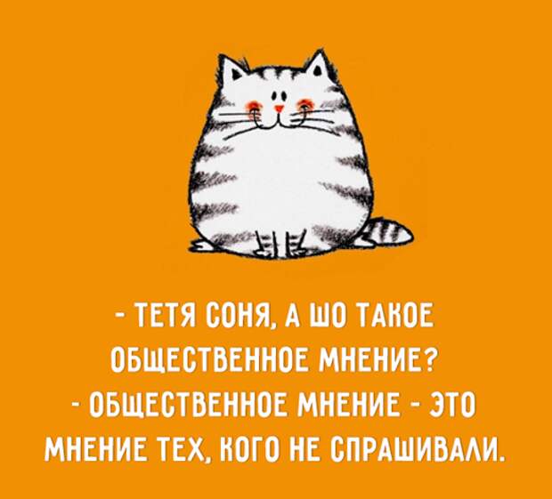 https://lh3.googleusercontent.com/-IVXR7o1RdDc/WoSY2yVDyTI/AAAAAAADU-s/RzLGNUFobzAr5QhlCQX-mbHxO0EVeJrcwCHMYCw/s1600/27749764_1275160229252488_9129435418842274398_n%255B2%255D