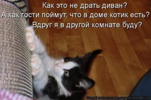Котоматрицы(картинки с надписями)