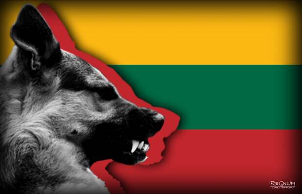 Литва решилась на невиданно резкий выпад против России