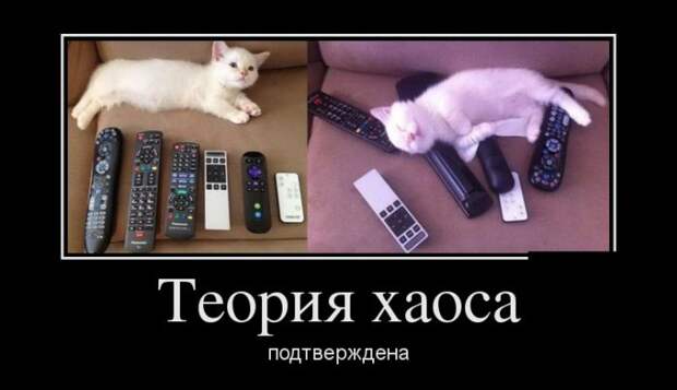 Демотиваторы (30 фото)