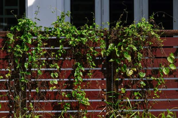 Садоводов предупредили о риске попасть под суд