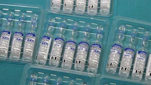 В ВОЗ рассказали о сроках инспекции российской вакцины от коронавируса «Спутник V»