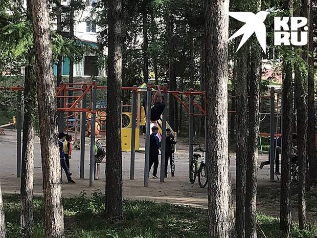 Саянцы на радостях от освобождения вовсе не перезаражали друг-друга! Фото: Владимир ВОРСОБИН