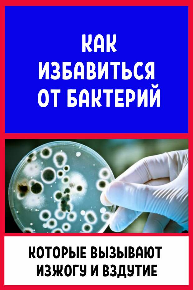 Это важно! Признаки и симптомы Как уже упоминалось, у людей есть инфекция H. pylori, а она даже не знают об этом, поскольку у них нет симптомов.