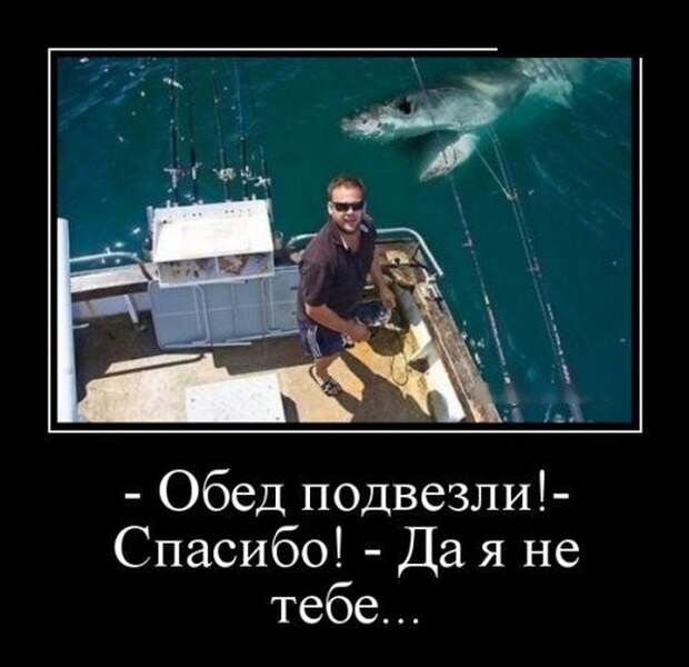 Самые новые демотиваторы  (30 фото)