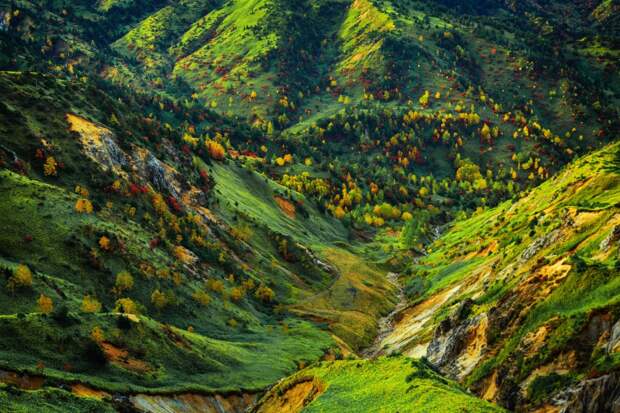 Осень в Японии 2015 2015 осень япония, алая осень японии, дегустация осени в японии, красные клены японии, момидзи, момидзи 2015, момидзи-гари, осень в японии, осень по-японски, осень-японии, тур в японию, японки, японская осень 2015