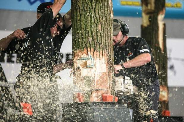 Stihl Timbersports Series - соревнования среди лесорубов Stihl Timbersports Series - соревнования среди лесорубов