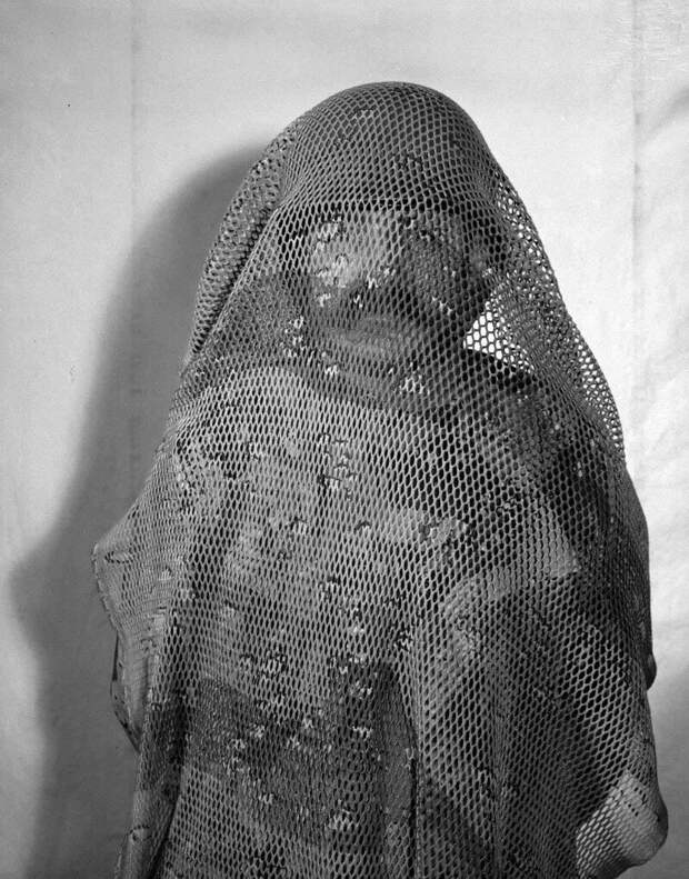 Сетка для камуфляжа в пустыне, 1973 г.